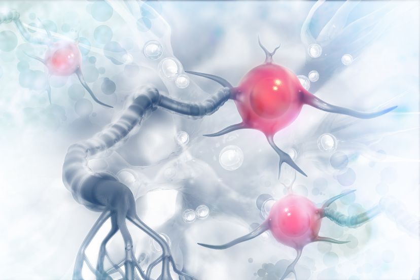 Hormone-Related Osteoporosis